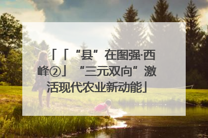 「“县”在图强·西峰②」“三元双向”激活现代农业新动能
