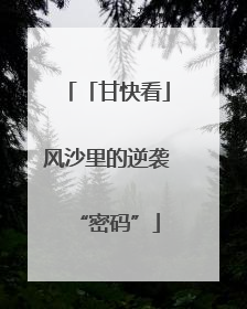 「甘快看」风沙里的逆袭“密码”