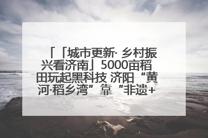 「城市更新· 乡村振兴看济南」5000亩稻田玩起黑科技 济阳“黄河·稻乡湾”靠“非遗+露营”火出圈