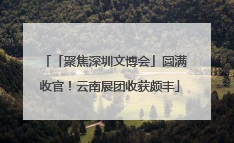 「聚焦深圳文博会」圆满收官！云南展团收获颇丰