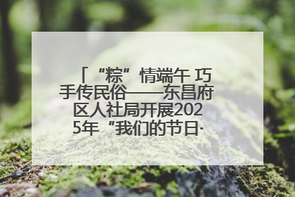 “粽”情端午 巧手传民俗——东昌府区人社局开展2025年“我们的节日·端午”包粽子活动