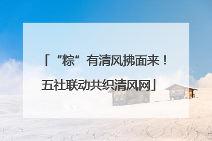 “粽”有清风拂面来！五社联动共织清风网