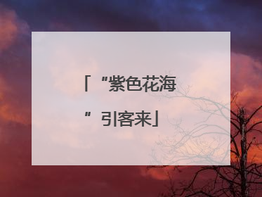 “紫色花海”引客来