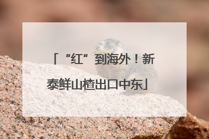“红”到海外！新泰鲜山楂出口中东