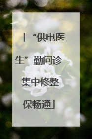 “供电医生”勤问诊 集中修整保畅通