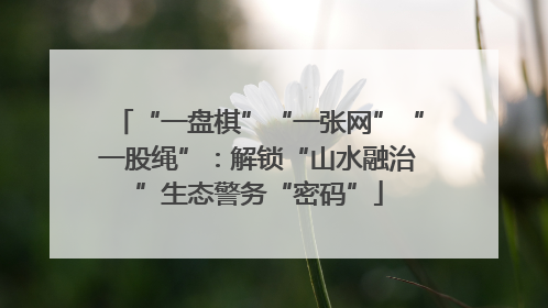 “一盘棋”“一张网”“一股绳”：解锁“山水融治”生态警务“密码”