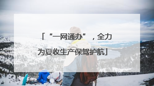 “一网通办”，全力为夏收生产保驾护航