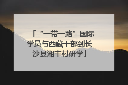 “一带一路”国际学员与西藏干部到长沙县湘丰村研学