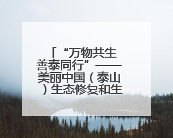 “万物共生 善泰同行”——美丽中国（泰山）生态修复和生物多样性保护研讨会成功举办