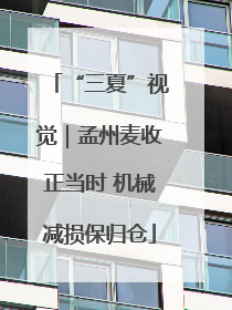 “三夏”视觉｜孟州麦收正当时 机械减损保归仓