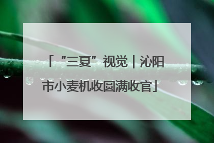 “三夏”视觉｜沁阳市小麦机收圆满收官