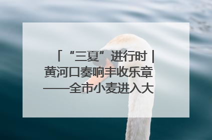 “三夏”进行时｜黄河口奏响丰收乐章——全市小麦进入大面积收获高峰期
