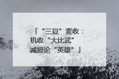 “三夏”麦收：机收“大比武” 减损论“英雄”