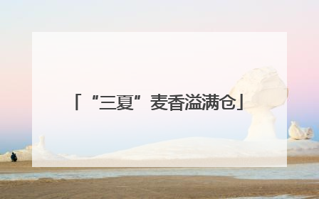 “三夏”麦香溢满仓