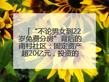 “不论男女到22岁免费分房”背后的南村社区：固定资产超20亿元，投资的影视基地被称为“山村好莱坞”