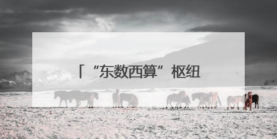 “东数西算”枢纽来沪推介，这里竟是华为云、腾讯和网易的算力“大本营”