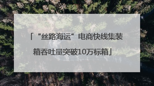 “丝路海运”电商快线集装箱吞吐量突破10万标箱