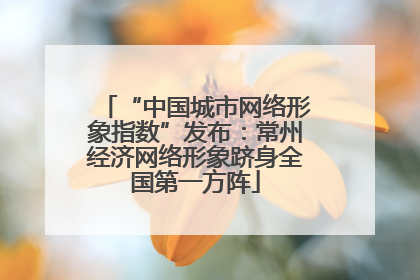“中国城市网络形象指数”发布：常州经济网络形象跻身全国第一方阵