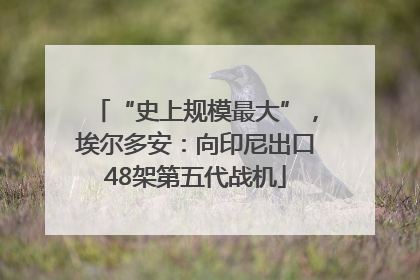 “史上规模最大”，埃尔多安：向印尼出口48架第五代战机