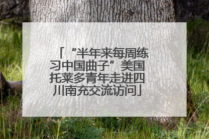 “半年来每周练习中国曲子”美国托莱多青年走进四川南充交流访问