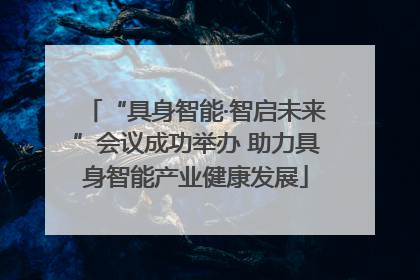 “具身智能·智启未来”会议成功举办 助力具身智能产业健康发展