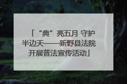 “典”亮五月 守护半边天——新野县法院开展普法宣传活动