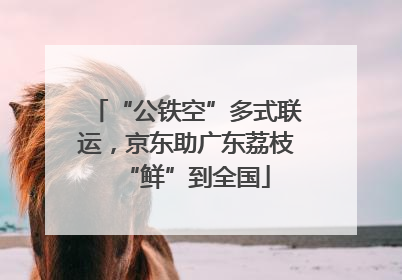“公铁空”多式联运，京东助广东荔枝“鲜”到全国