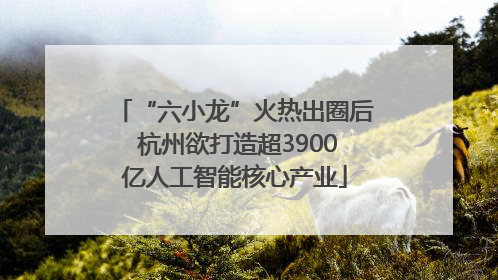 “六小龙”火热出圈后 杭州欲打造超3900亿人工智能核心产业