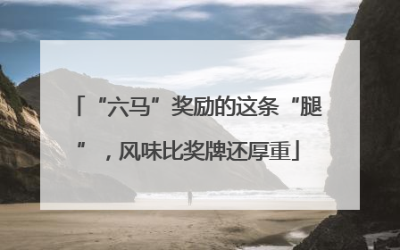 “六马”奖励的这条“腿”，风味比奖牌还厚重