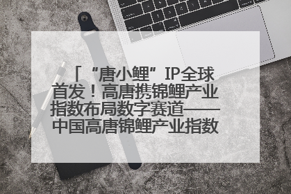 “唐小鲤”IP全球首发！高唐携锦鲤产业指数布局数字赛道——中国高唐锦鲤产业指数暨“唐小鲤”IP全球首发仪式在杭州举行