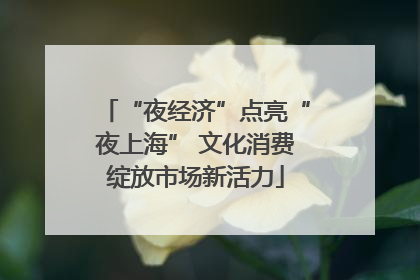 “夜经济”点亮“夜上海” 文化消费绽放市场新活力