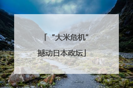 “大米危机”撼动日本政坛