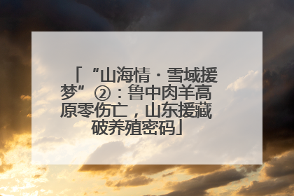 “山海情・雪域援梦”②：鲁中肉羊高原零伤亡，山东援藏破养殖密码