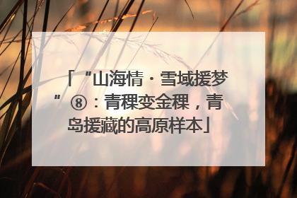 “山海情・雪域援梦”⑧：青稞变金稞，青岛援藏的高原样本