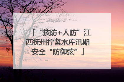 “技防+人防”江西抚州拧紧水库汛期安全“防御弦”
