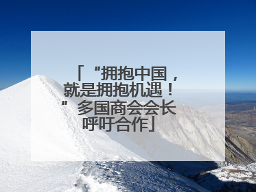 “拥抱中国，就是拥抱机遇！”多国商会会长呼吁合作