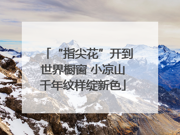 “指尖花”开到世界橱窗 小凉山千年纹样绽新色