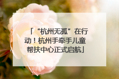 “杭州无孤”在行动！杭州手牵手儿童帮扶中心正式启航