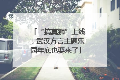 “搞莫狮”上线，武汉方言主题乐园年底也要来了
