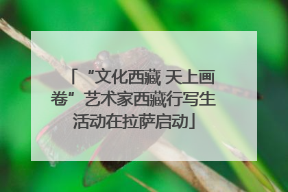 “文化西藏 天上画卷”艺术家西藏行写生活动在拉萨启动