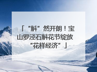 “斛”然开朗！宝山罗泾石斛花节绽放“花样经济”