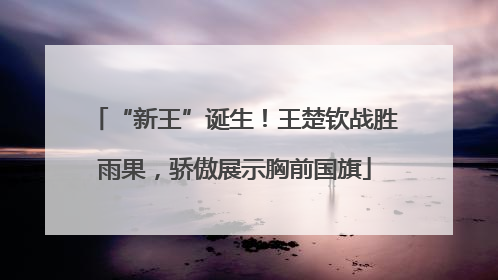 “新王”诞生！王楚钦战胜雨果，骄傲展示胸前国旗