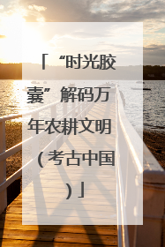 “时光胶囊”解码万年农耕文明（考古中国）
