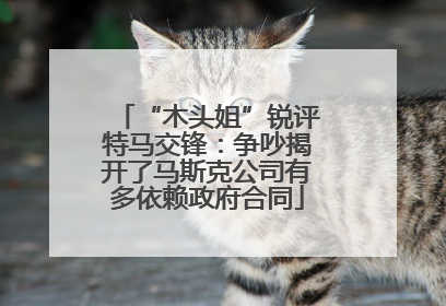 “木头姐”锐评特马交锋：争吵揭开了马斯克公司有多依赖政府合同