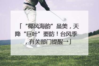 “椰风海韵”虽美，天降“巨叶”要防！台风季，有关部门提醒→