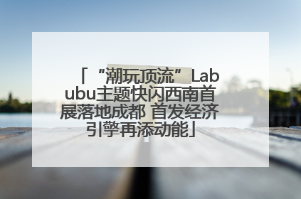 “潮玩顶流”Labubu主题快闪西南首展落地成都 首发经济引擎再添动能