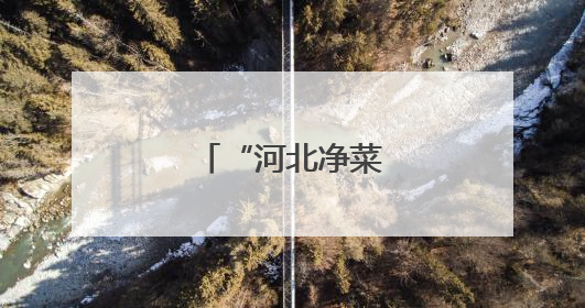 “河北净菜”靓起来