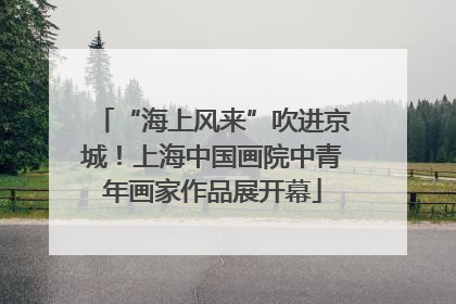 “海上风来”吹进京城！上海中国画院中青年画家作品展开幕