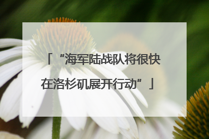 “海军陆战队将很快在洛杉矶展开行动”
