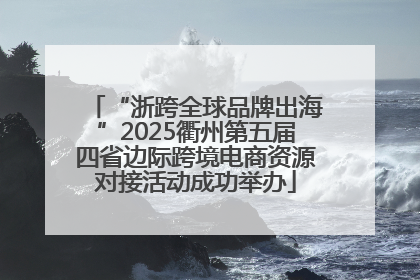 “浙跨全球品牌出海”2025衢州第五届四省边际跨境电商资源对接活动成功举办